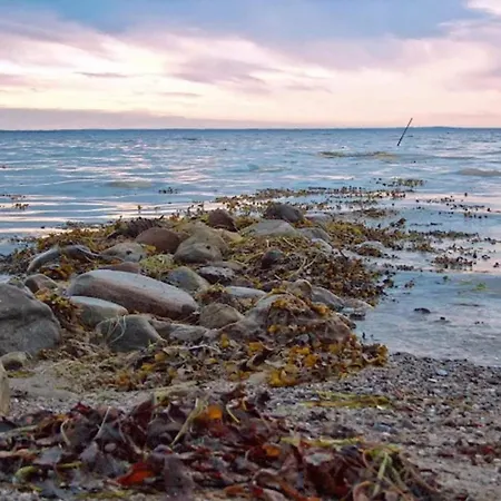 8 Person In Bogense-by Traum *